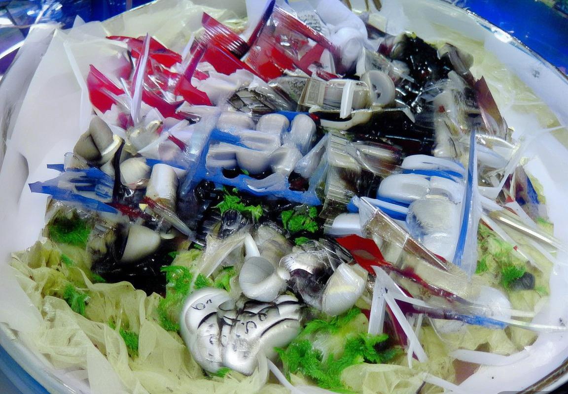 范戴克成长之路：从荷兰新星到世界足坛领袖(图3)